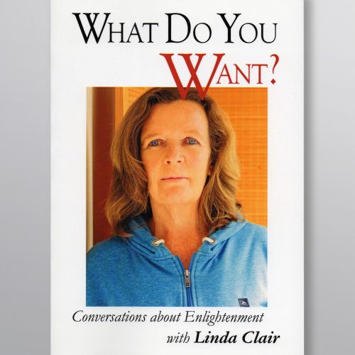 "What do You Want", book by Linda Clair