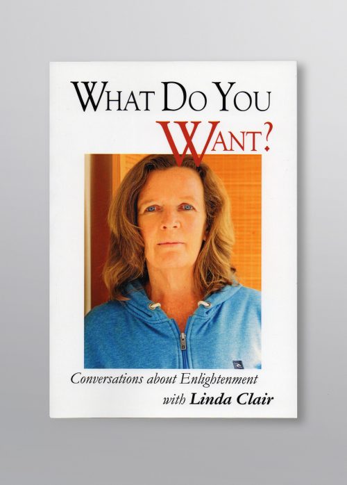 "What do You Want", book by Linda Clair