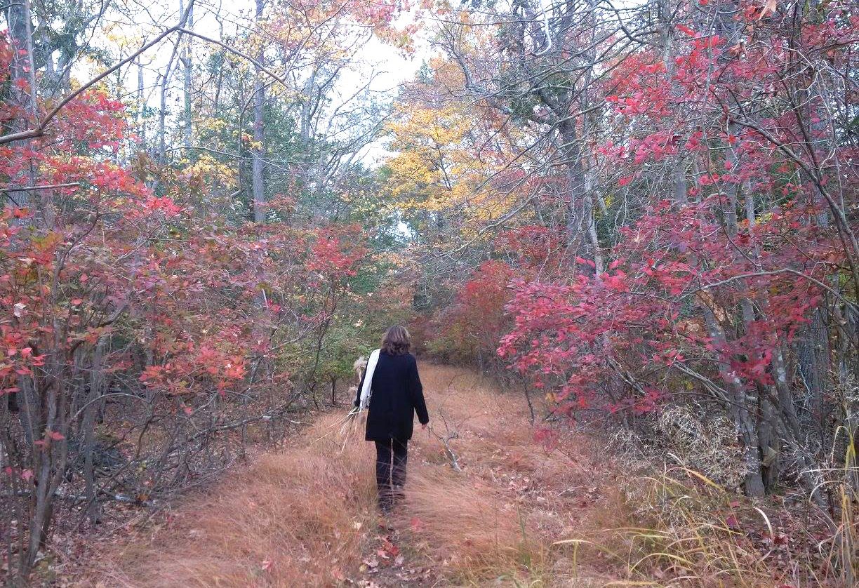Linda Clair in woodland.